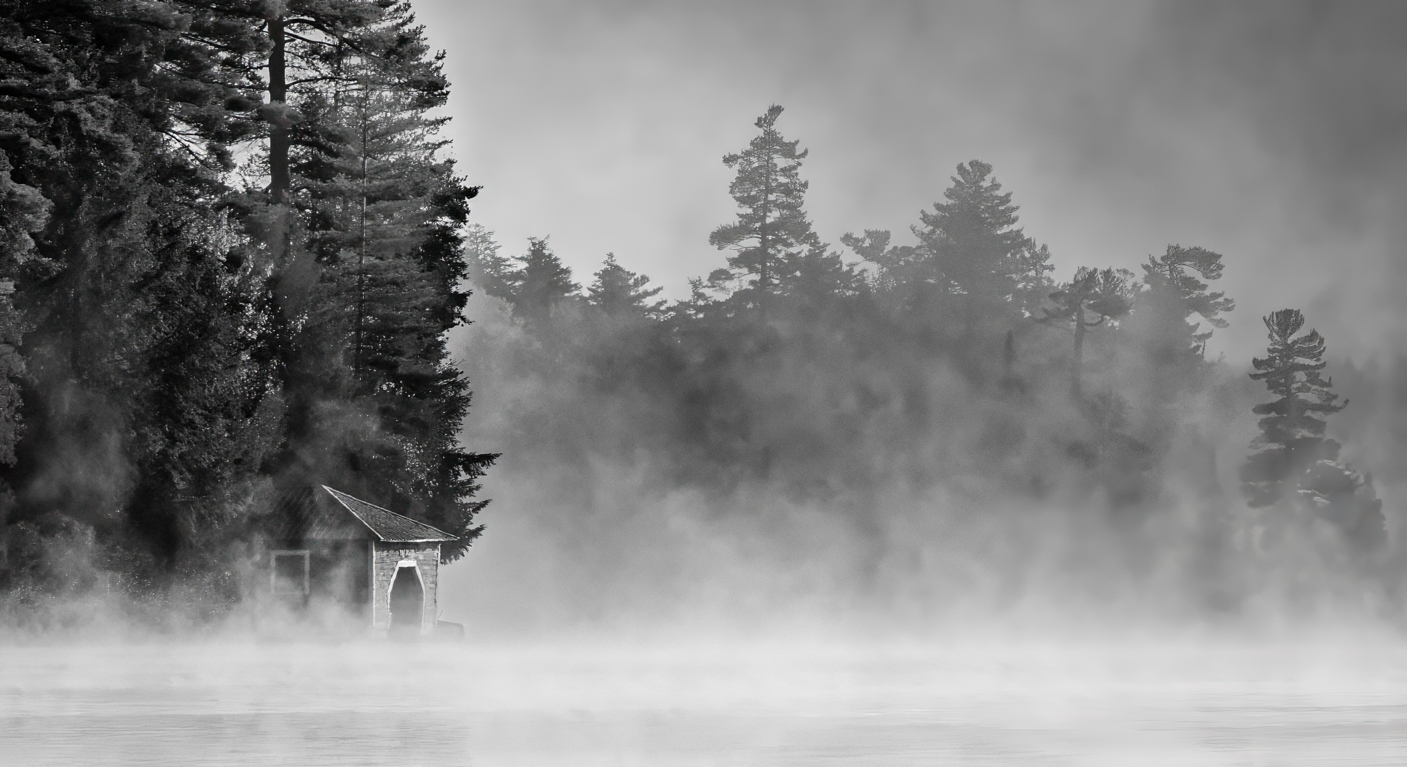 3rd PrizeOpen Mono In Class 3 By Debbie Blair For Solitude Rising FEB-2026.jpg